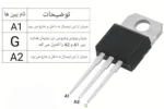 دیتاشیت ترایاک