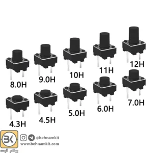 شاستی ویدئویی دو پایه / Tak switch 6x6x4