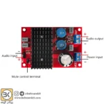 ماژول آمپلی فایر 100 وات مونو با تراشه TPA3116 - Image 3
